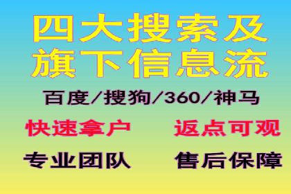行业领先企业的SEM广告策略与效果分析